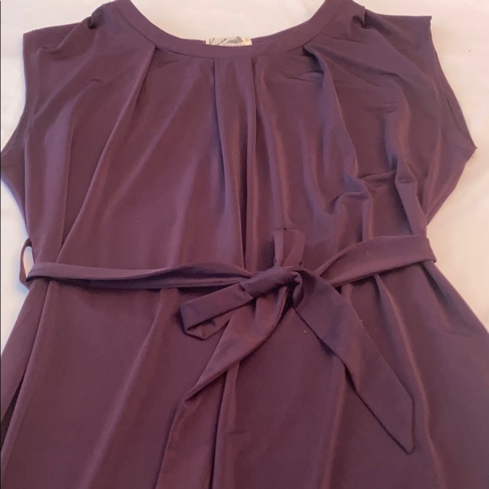 Beautiful Paraella Deep plum dress - Picture 4 of 6